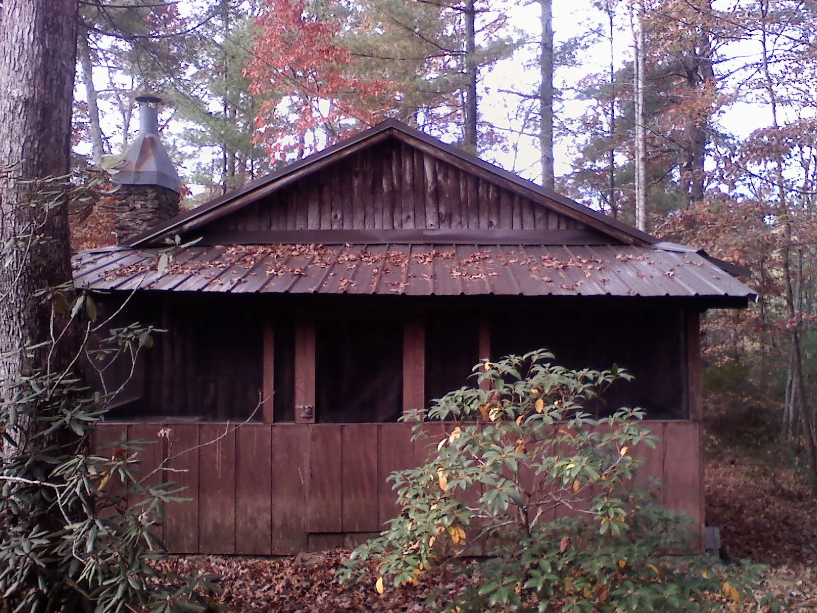 Metal roof over the screened porch of a rustic cabin in Winslow