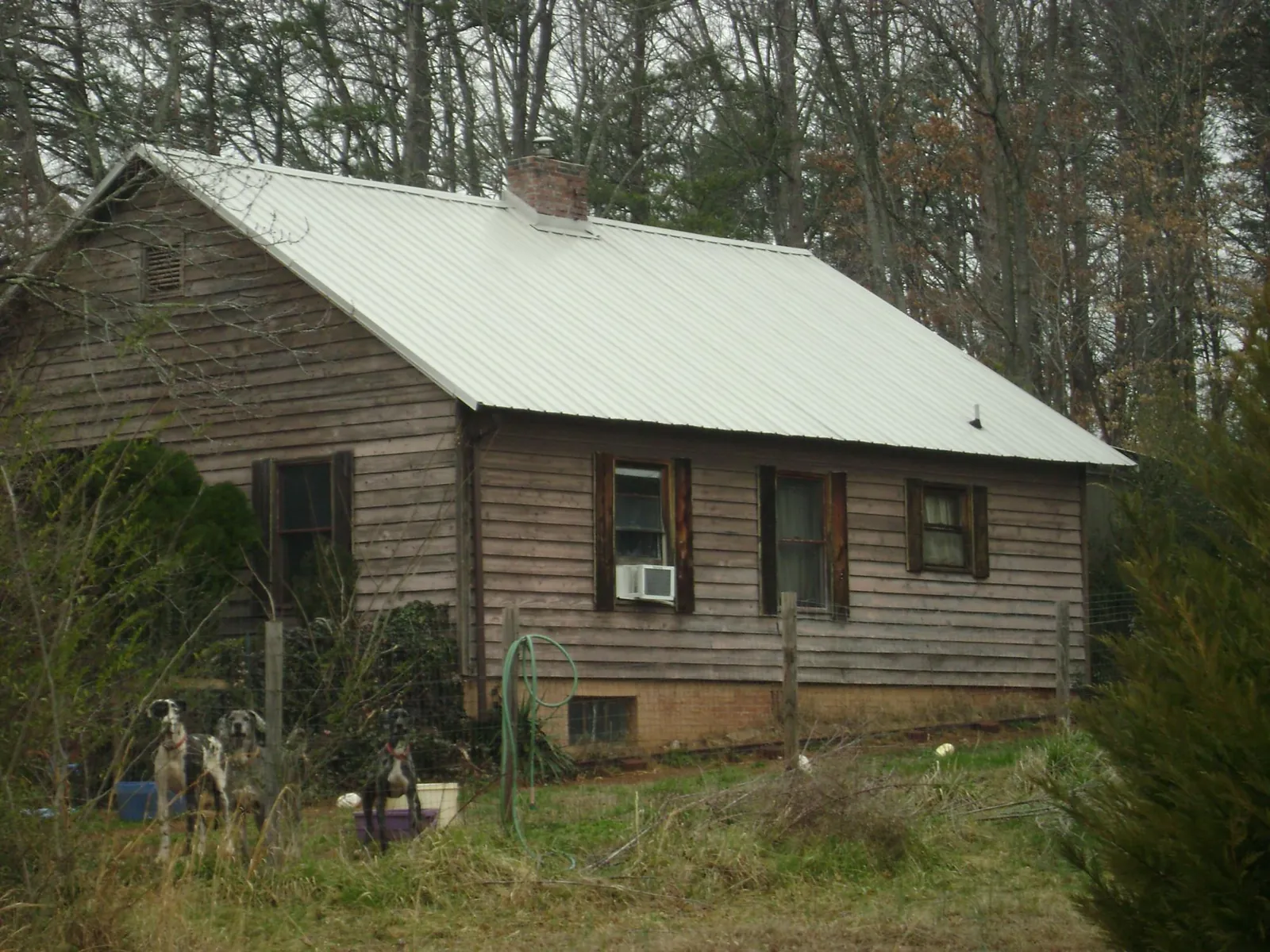 White metal roof on an old wood sided farmhouse, from a Asphalt Shingle Roof Repair job in Winslow